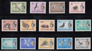 Ascension Scott #75-88 MH