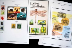 COLOR PRINTED BELGIUM 2011-2020 STAMP ALBUM PAGES (145 illustrated pages)