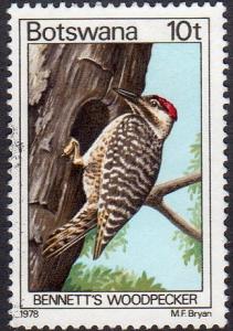 Botswana 204 - Used - 10t Bennett's Woodpecker (1978) (cv $ 0.85) (2)