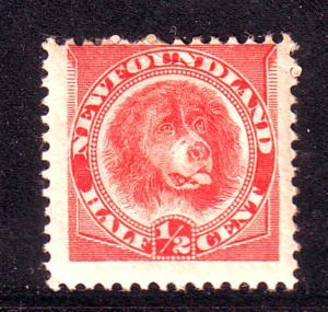 Newfoundland Sc 57 1896 1/2c orange red Dog stamp mint