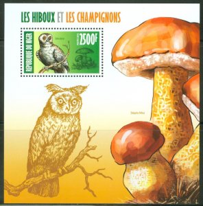 NIGER 2013 OWLS & MUSHROOMS SOUVENIR SHEET  MINT NH