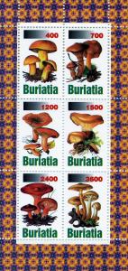 Buriatia Mushrooms-Funghi Sheet (6) Perforated mnh.