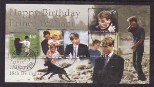 Tristan da Cunha-Sc#668- id8-used sheet-Prince William-Birthday-2000-