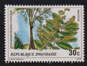 Rwanda 916 Entandrophragma Excelsum 1979