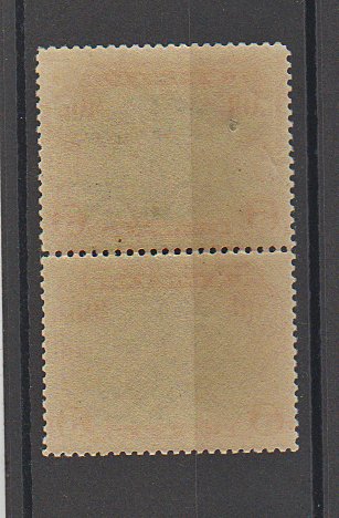 C11 Air Mail 1928 Beacon on Rocky Mountains Horizontal Line Pair 1MH 1MNH