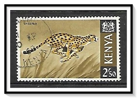 Kenya #32 Cheetah Used