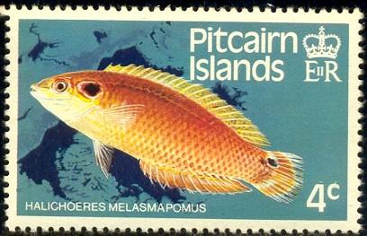 Fish, Cheekspot Wrasse, Pitcairn Islands SC#232 MNH