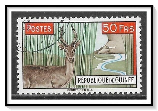 Guinea #218 Waterbuck CTOH