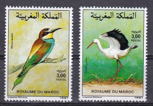 Morocco, Fauna, Birds MNH / 1991