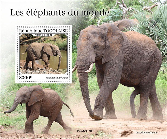 TOGO - 2022 - Elephants - Perf Souv Sheet  - Mint Never Hinged