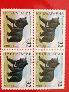 Bulgaria 1988 Block Animals Black Bears Mammal Nature Stamps CTO Mi 3707 Sc 3563