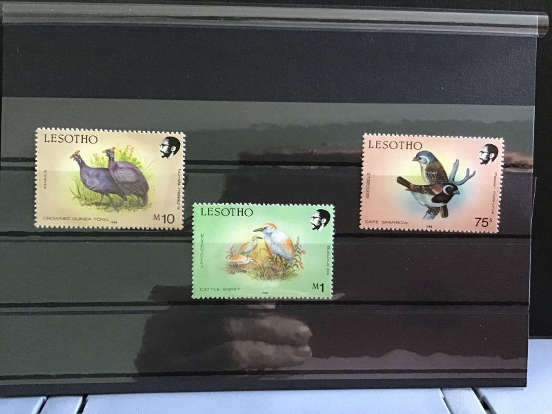 Lesotho Birds  mint never hinged   stamps R31772