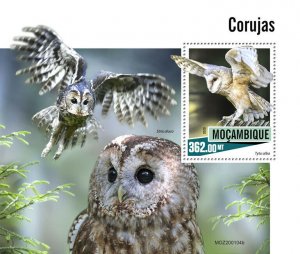 Mozambique Birds on Stamps 2020 MNH Owls Tawny Barn Owl 1v S/S