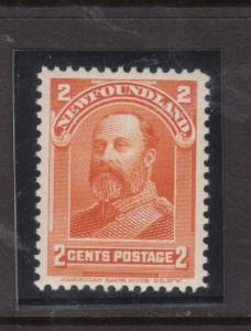 Newfoundland #81 Very Fine Never Hinged