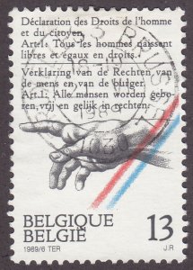 Belgium 1316 Rights of Man 1989