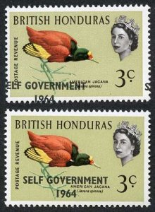 British Honduras SG218 3c with Self Government 1964 Overprint MISPLACED U/M