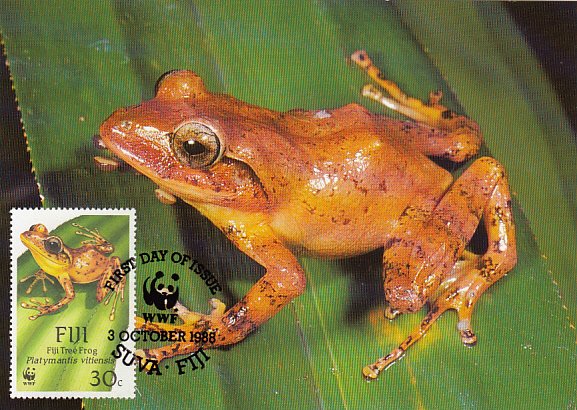 Fiji 1988 Maxicard Sc #593 30c Fiji Tree frog WWF