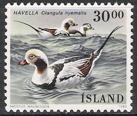 Iceland #666 Birds Used