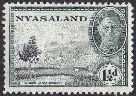 Nyasaland 1945 1½d Tea estate MH