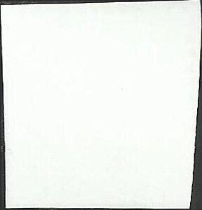 # 4781 USED FLAG IN WINTER