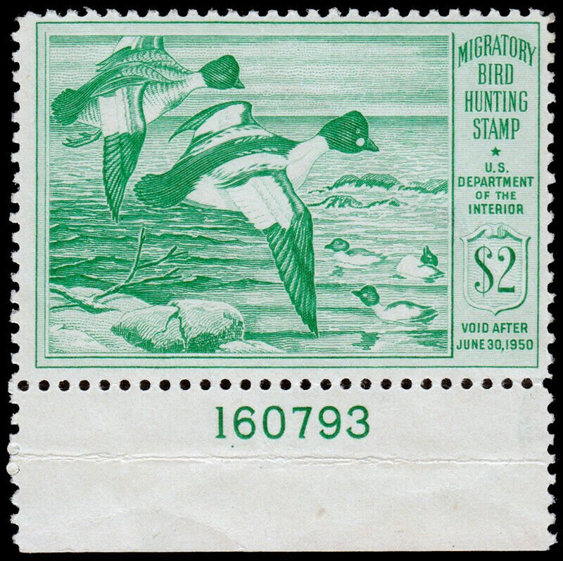 United States Hunting Permit Stamp Scott RW16 (1949) Mint NH VF, CV $70.00 C