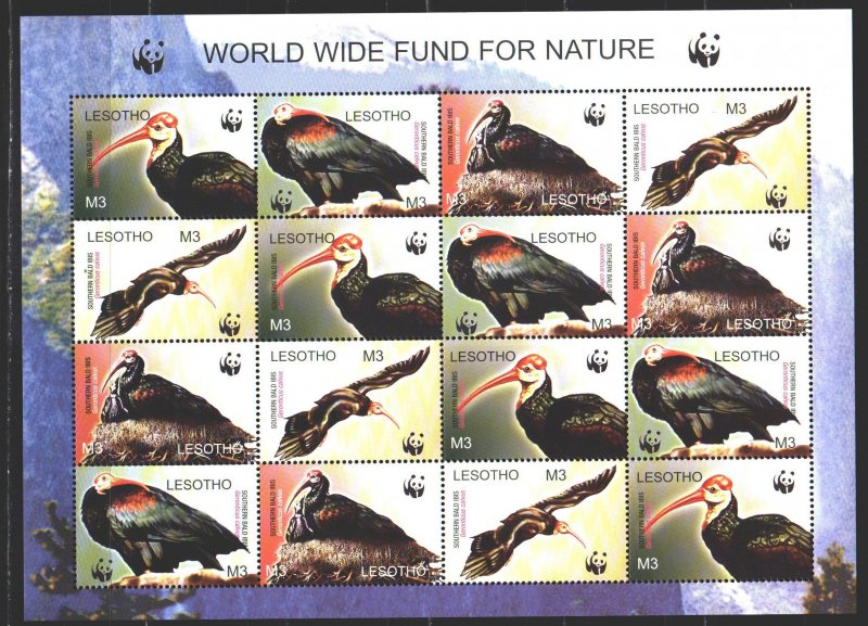 Lesotho. 2004. Small sheet 1895-98. Birds, WWF, fauna. MNH.