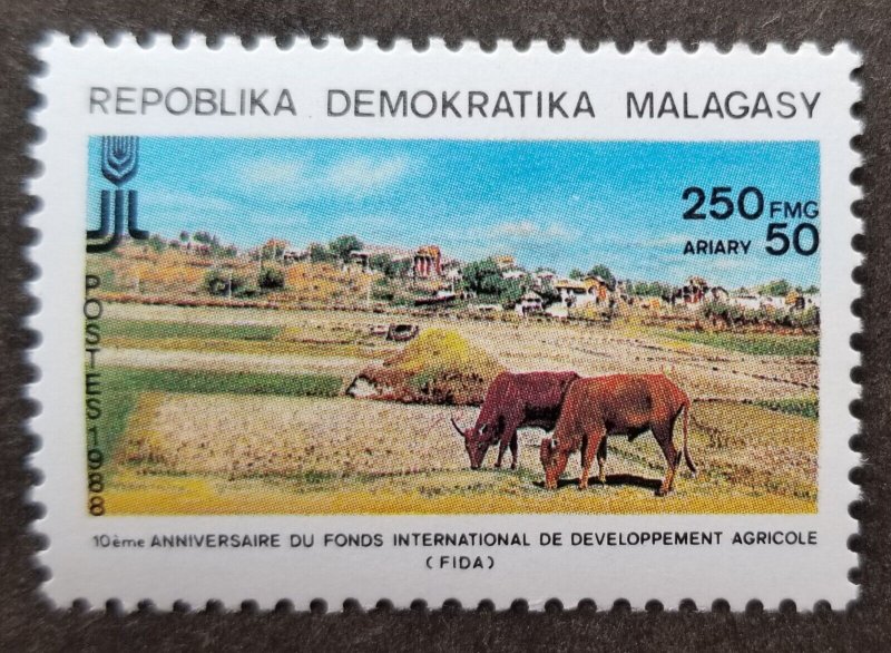 Madagascar 10th Anniv International Fund Agricultural 1988 Cow Farm (stamp) MNH