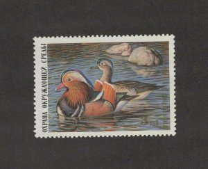 RD1 - Russia Duck Stamp. Single. MNH.