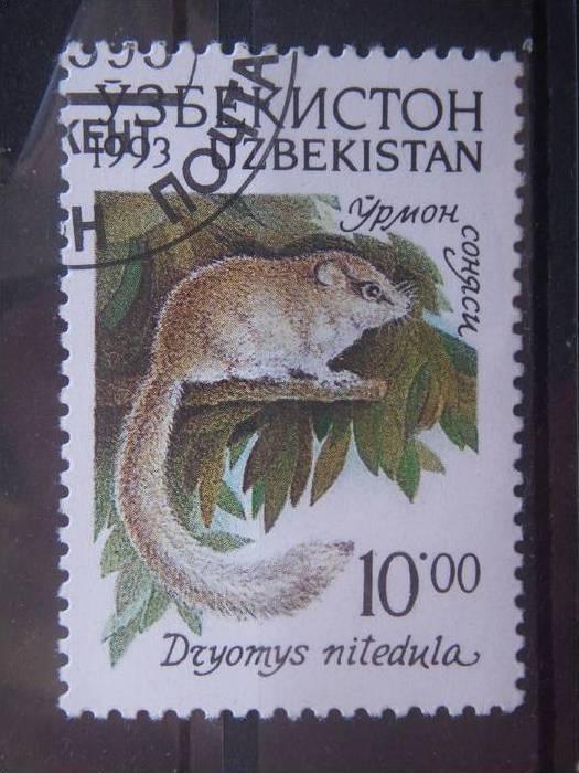 UZBEKISTAN, 1993, CTO 10s, Fauna Scott 12