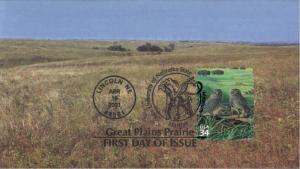#3506b Burrowing Owl Homespun FDC