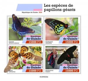 Guinea - 2020 Giant Butterfly Species - 4 Stamp Sheet - GU200222a