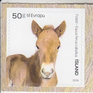 2019 Iceland Young Domestic Animals - Foal SA (Scott NA) MNH