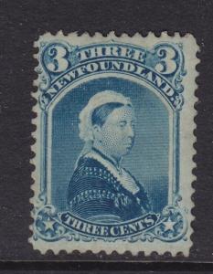 Newfoundland Scott # 34 F-VF-OG lightly hinged scv $ 375 ! see pic !