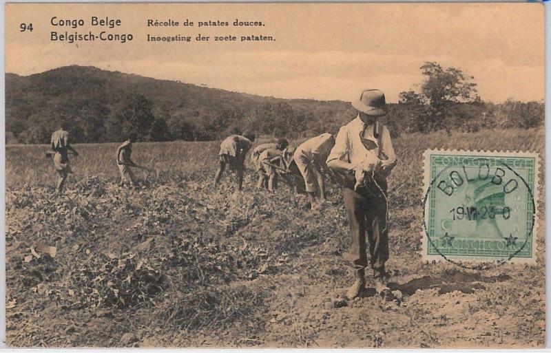 Congo Belge / Belgian Congo  - POSTAL STATIONERY CARD:  PLANTING SWEET Potatoes