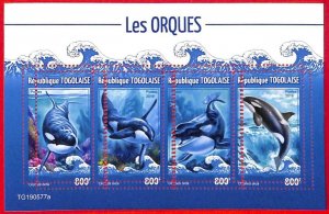 A4952 - TOGO - ERROR MISPERF, Miniature sheet: 2019, Orcas, Marine Life