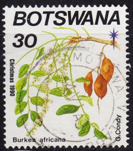 BOTSWANA [1990] MiNr 0484 ( O/used ) Pflanzen