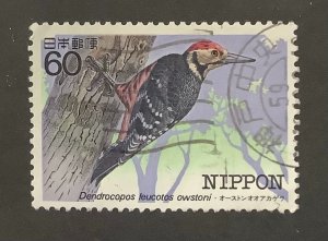 Japan 1984 Scott 1543 used - 60y,   Endangered Birds, White-backed Woodpecker