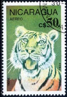 Tiger, Nicaragua stamp SC#C1142 used
