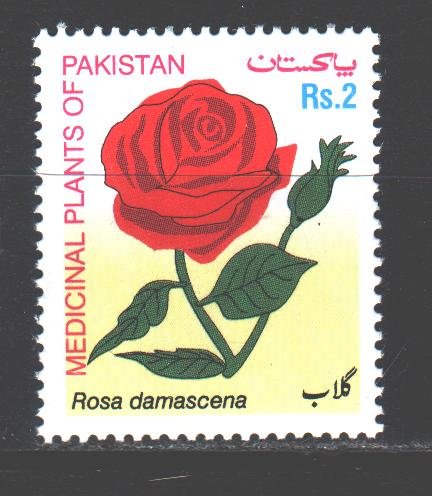 Pakistan. 2003. 1148. Rose, medicinal plant. MNH.