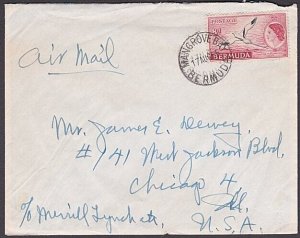 BERMUDA 1965 8d bird on cover MANGROVE BAY to USA...........................x840