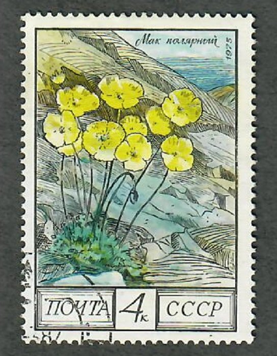 Russia 4394 Art Painting used single