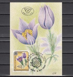 Austria, Scott cat. 1346. Europa issue. Garden Flower, Maximum Card. ^