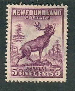 Newfoundland #191 used single - perf 13.5