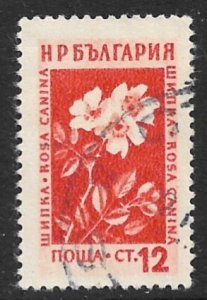 BULGARIA 1953 12s Dog Rose Medicinal Plants Issue Sc 833 CTO Used