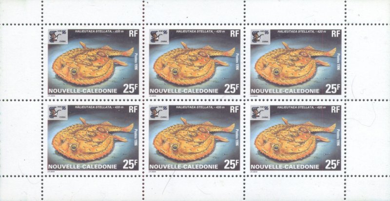 New Caledonia Scott #'s 737a MNH