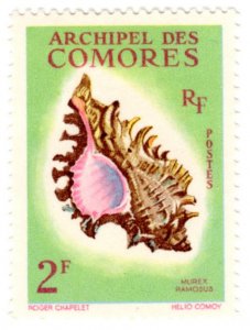 Comoro Islands Scott 50 (1962: Murex Ramosus - Shell)