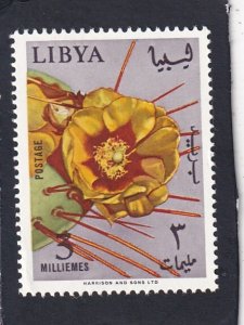 Libya   #     286     unused
