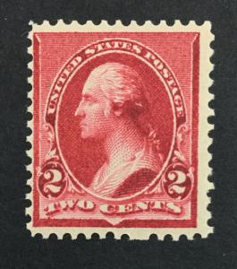 US #220 MINT OG NH $60 LOT #5504