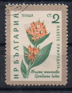 BULGARIA - FLOWERS - Used - 2 - 1960 -