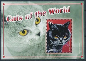 [109183] Grenada 2008 Cats British Blue Shorthair Souvenir Sheet MNH